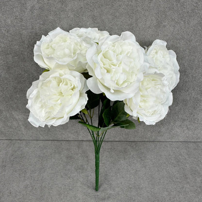 White Silk Austin Rose Bush - 7 Heads RosesHQ.com