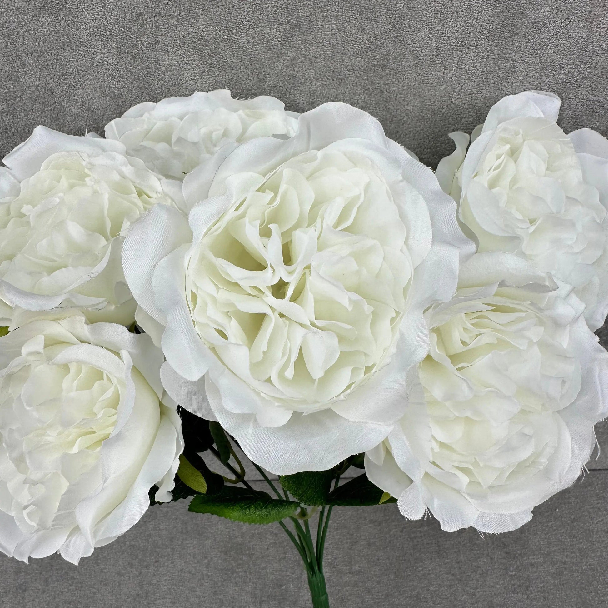 White Silk Austin Rose Bush - 7 Heads RosesHQ.com