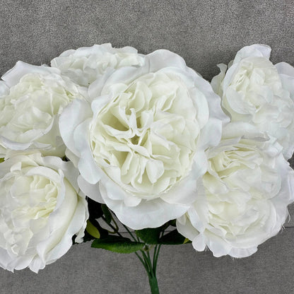 White Silk Austin Rose Bush - 7 Heads RosesHQ.com