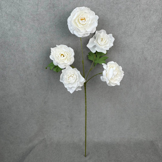 White Silk Princess Peony Bush - 5 Heads RosesHQ.com