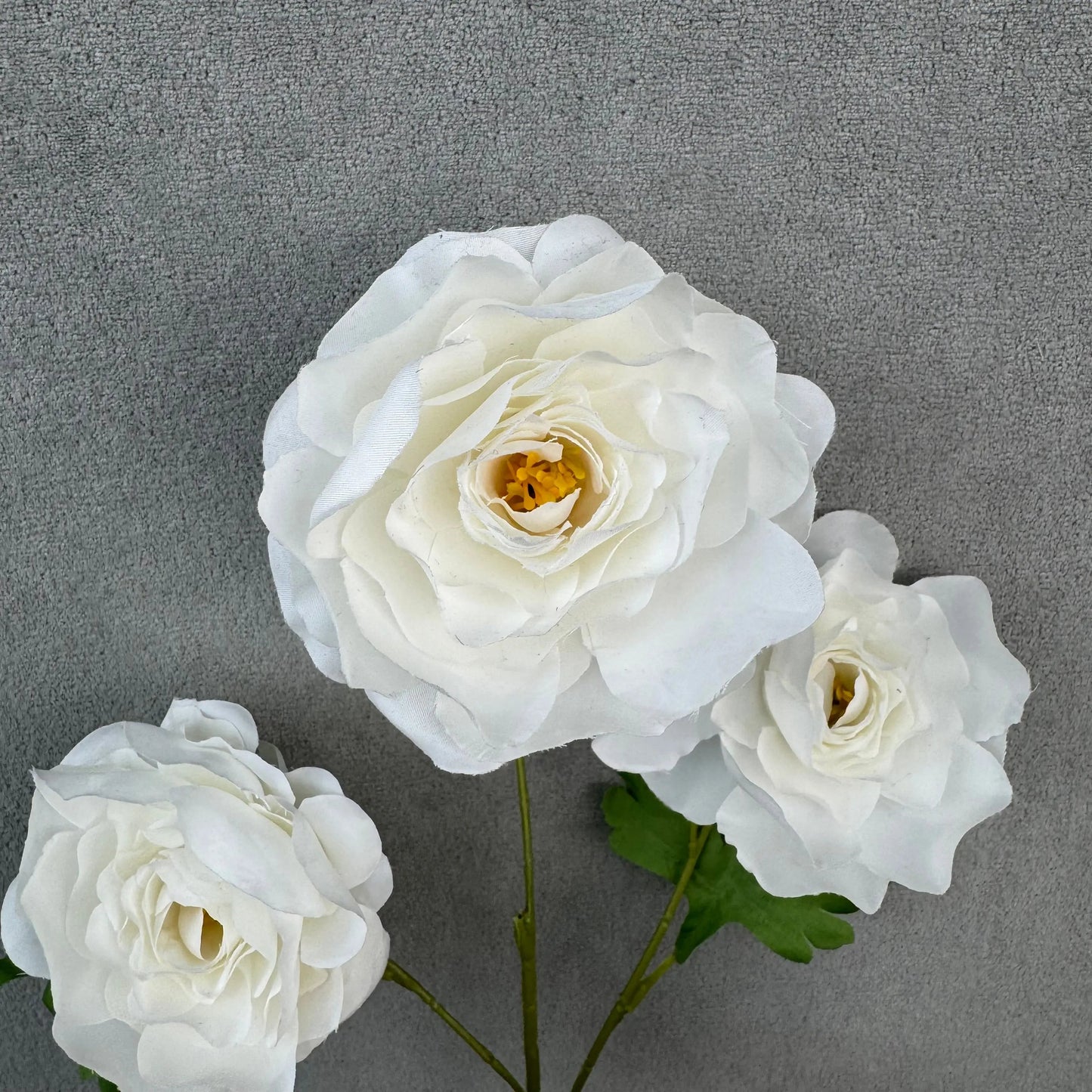 White Silk Princess Peony Bush - 5 Heads RosesHQ.com