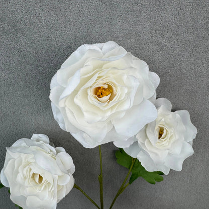 White Silk Princess Peony Bush - 5 Heads RosesHQ.com