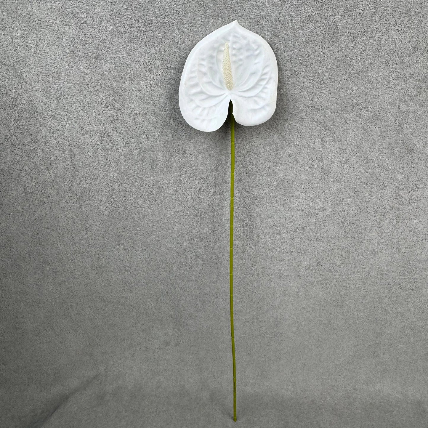 White Real Touch Anthurium Stem RosesHQ.com