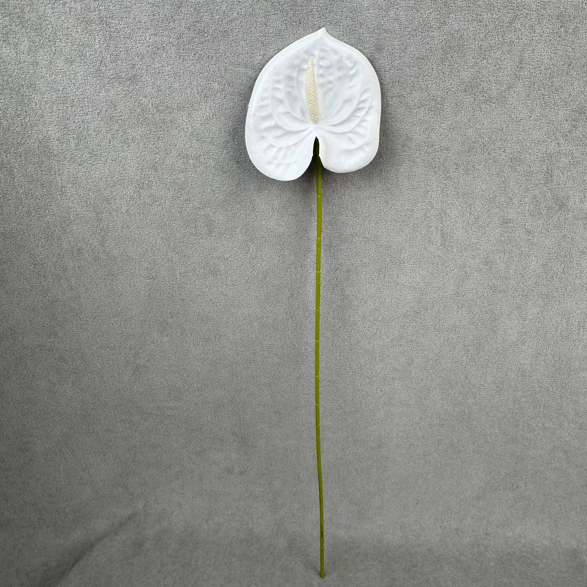White Real Touch Anthurium Stem RosesHQ.com