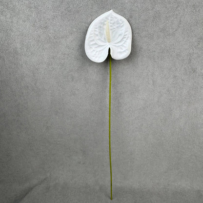 White Real Touch Anthurium Stem RosesHQ.com