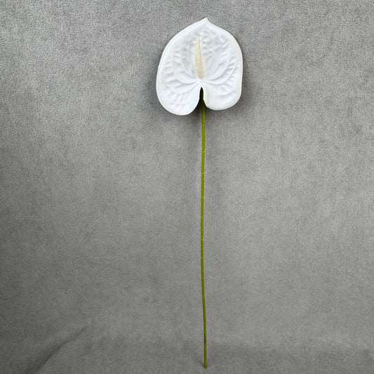 White Real Touch Anthurium Stem RosesHQ.com