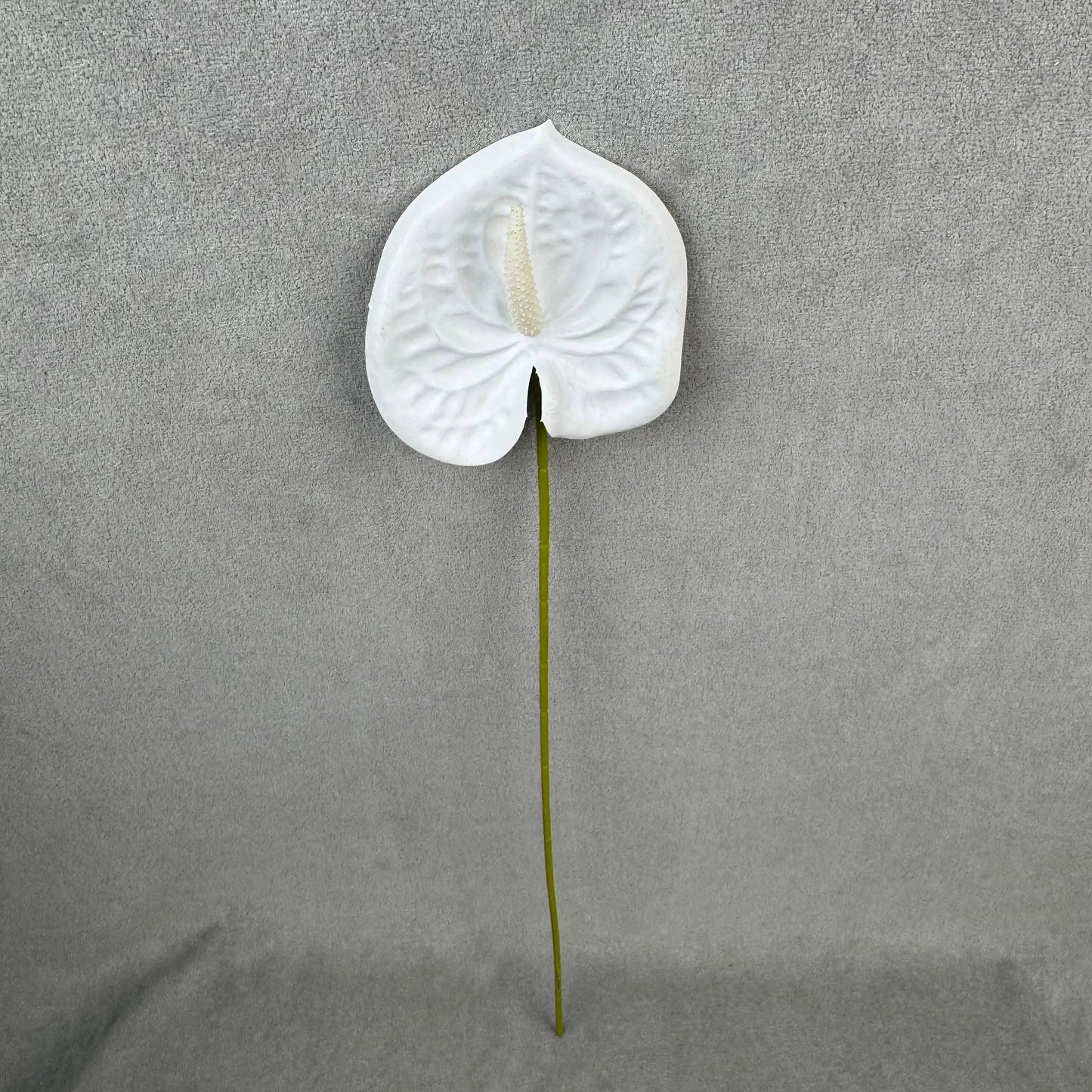White Real Touch Anthurium Stem RosesHQ.com