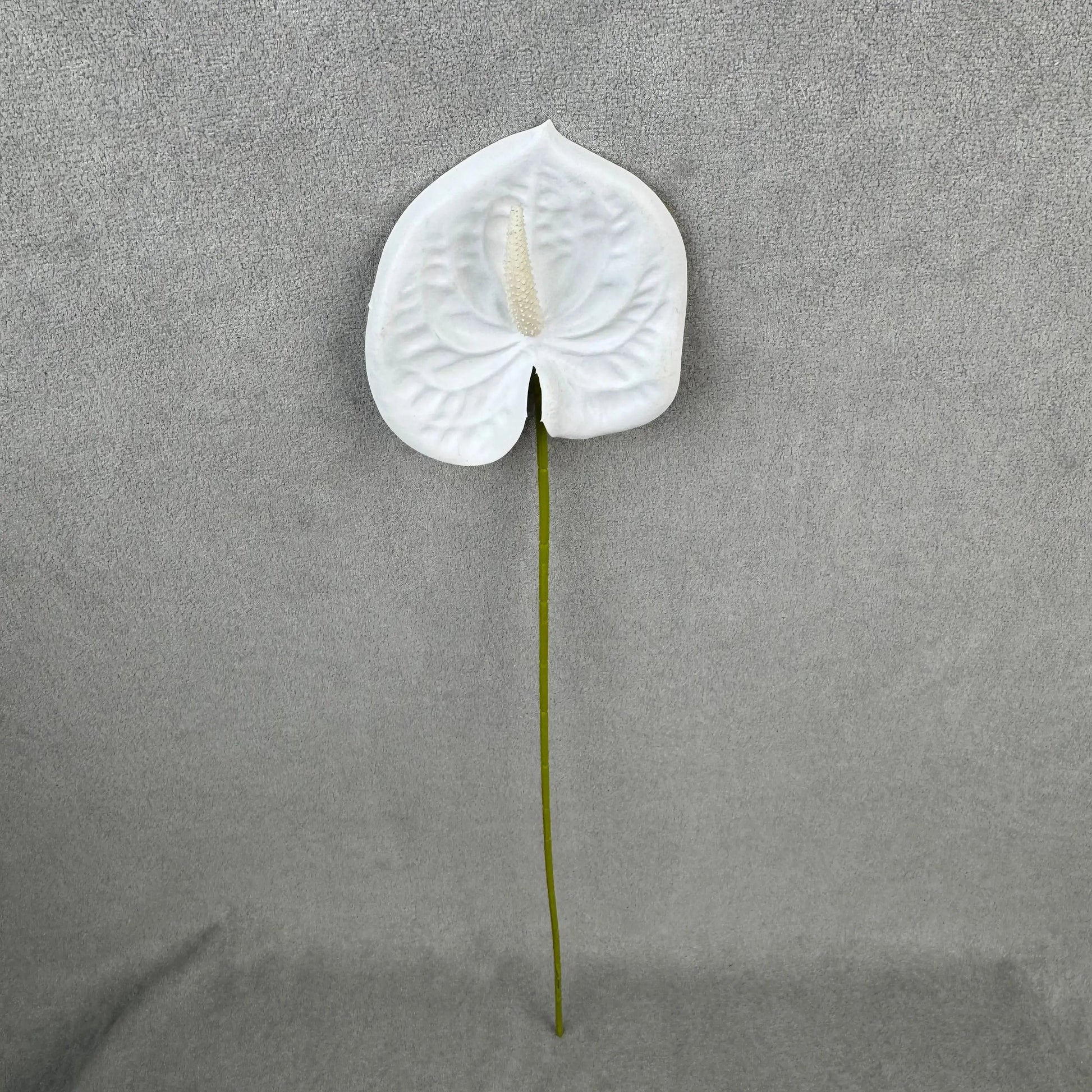 White Real Touch Anthurium Stem RosesHQ.com