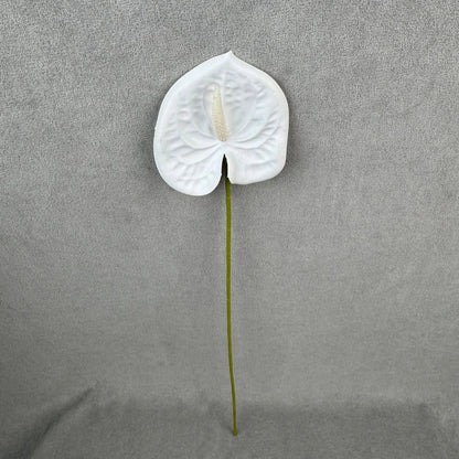 White Real Touch Anthurium Stem RosesHQ.com