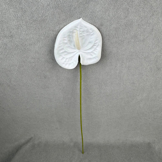 White Real Touch Anthurium Stem RosesHQ.com