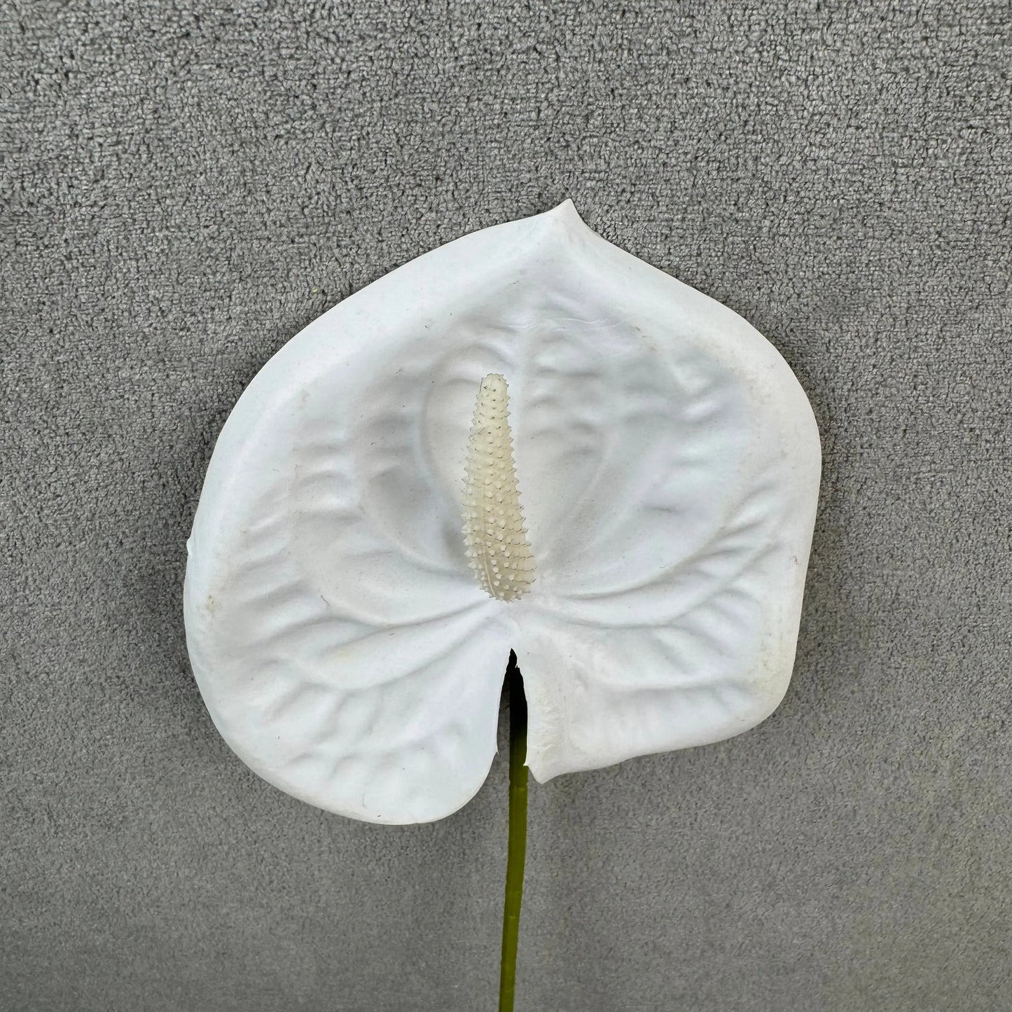 White Real Touch Anthurium Stem RosesHQ.com