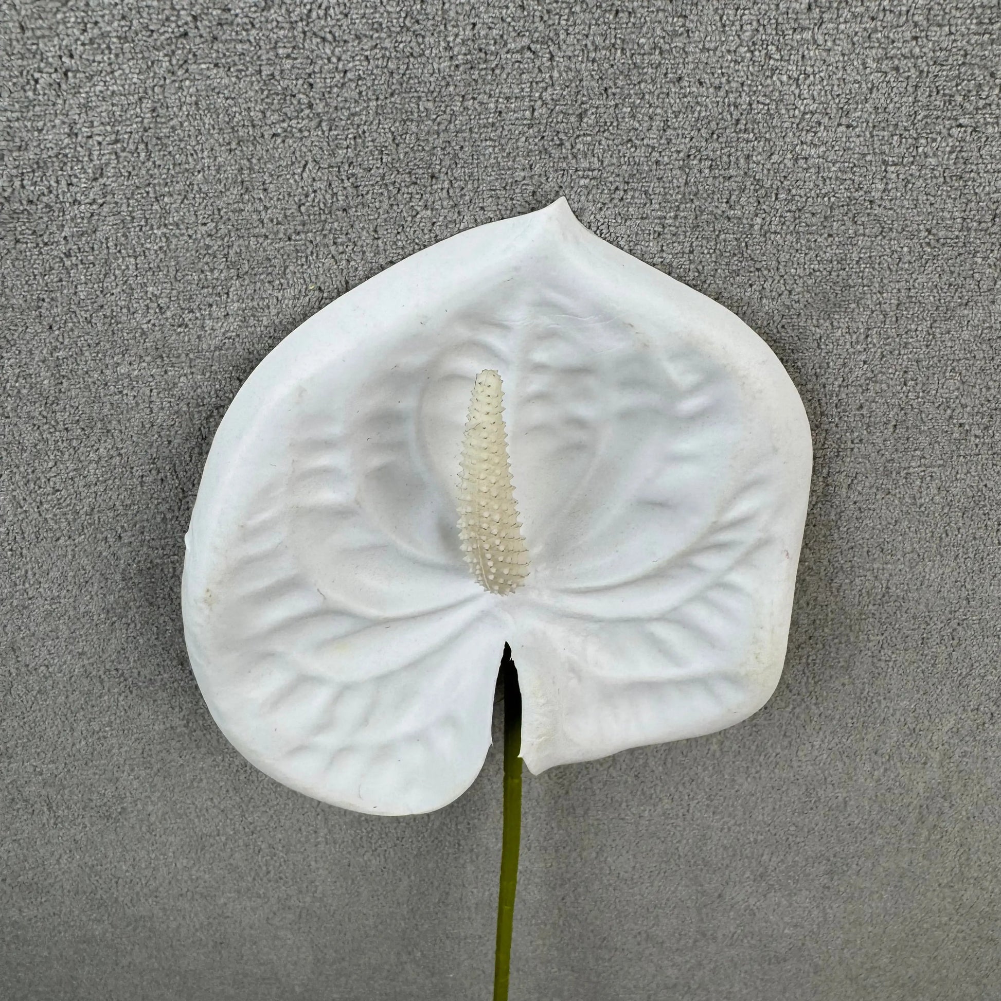 White Real Touch Anthurium Stem RosesHQ.com