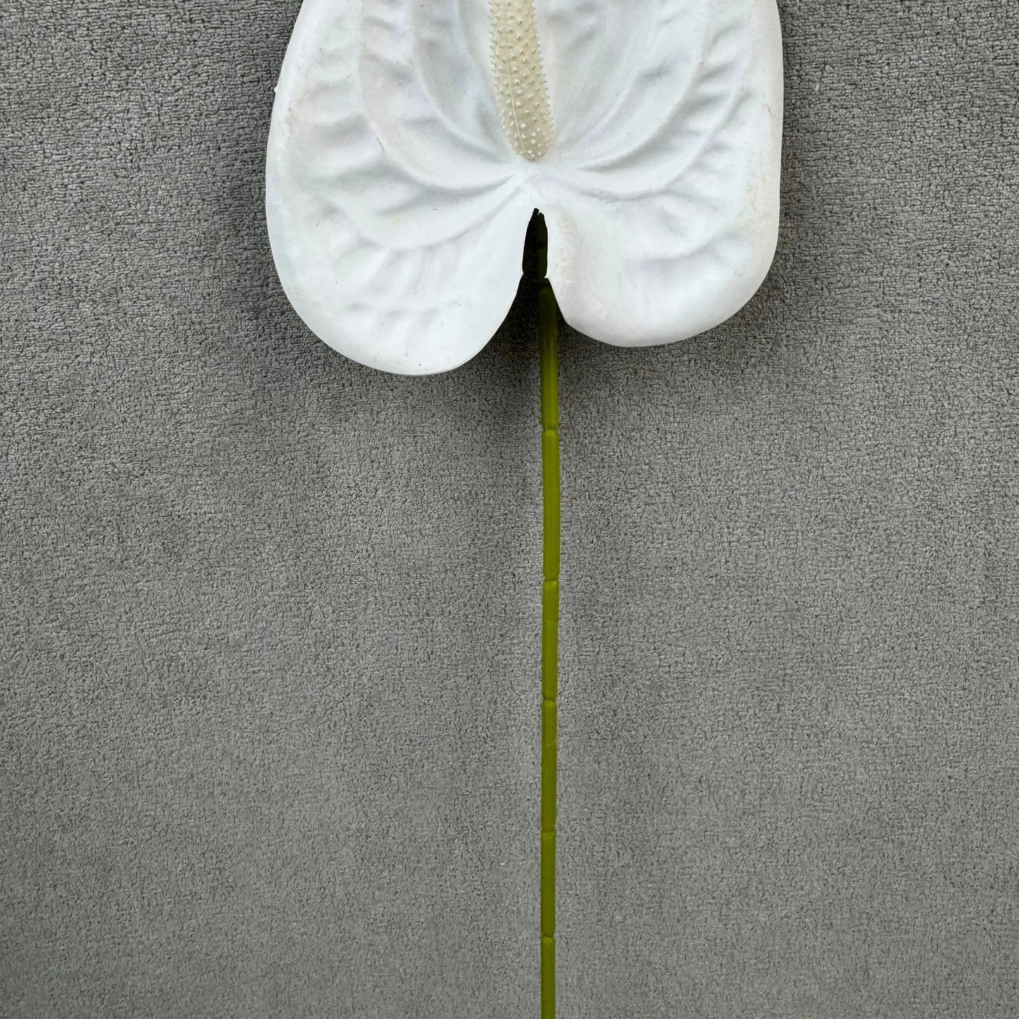 White Real Touch Anthurium Stem RosesHQ.com