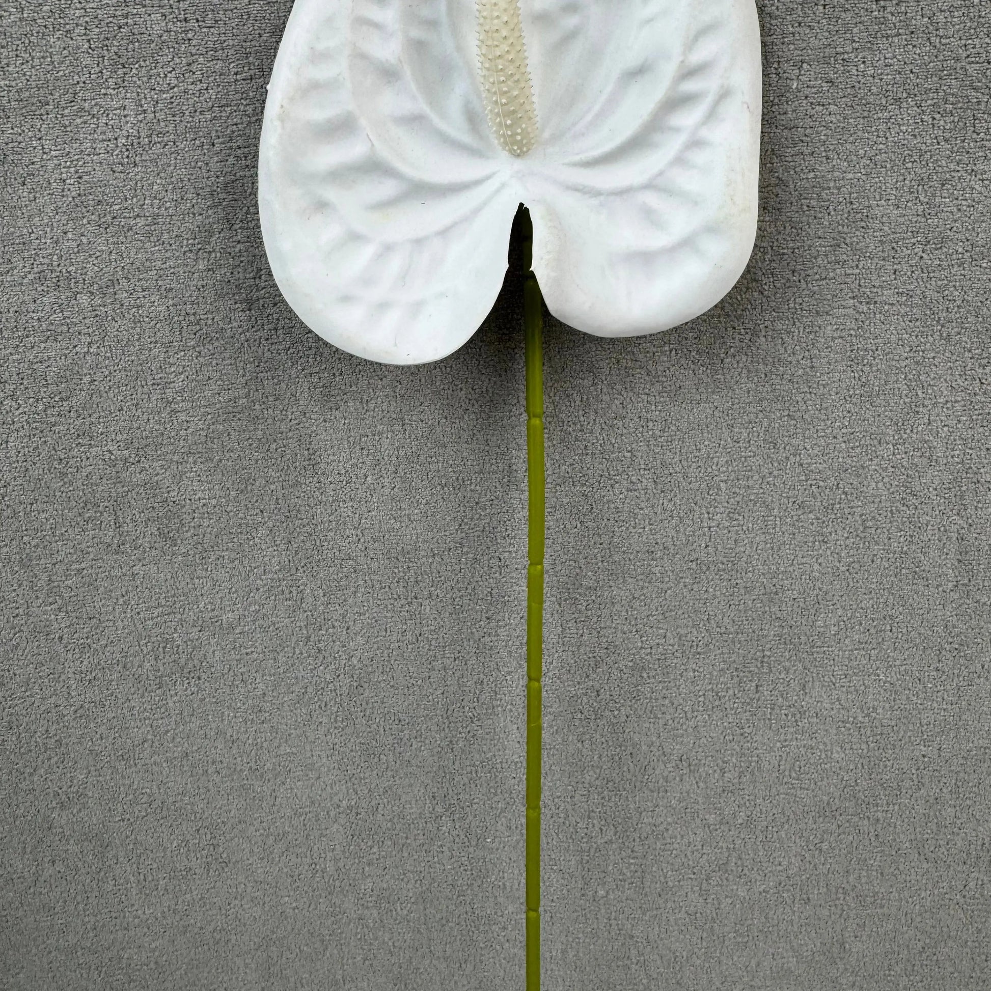 White Real Touch Anthurium Stem RosesHQ.com