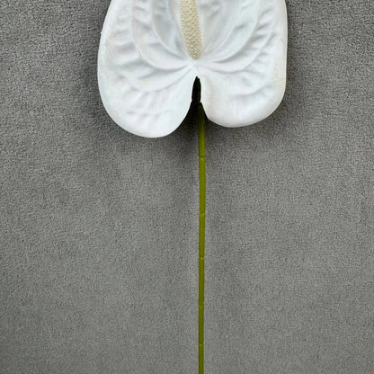 White Real Touch Anthurium Stem RosesHQ.com