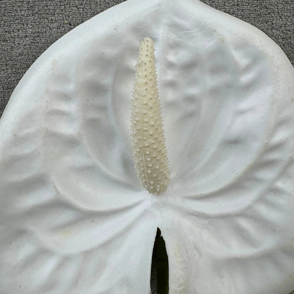 White Real Touch Anthurium Stem RosesHQ.com