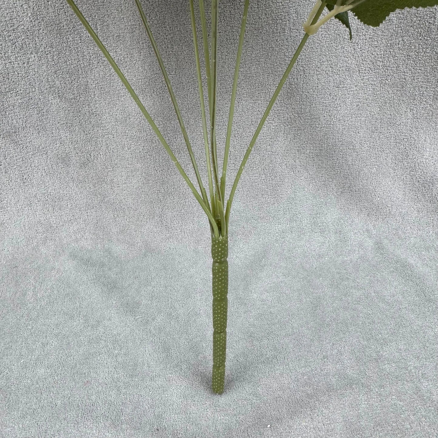 Ivory Silk Dahlia Bush - 7 Heads RosesHQ.com