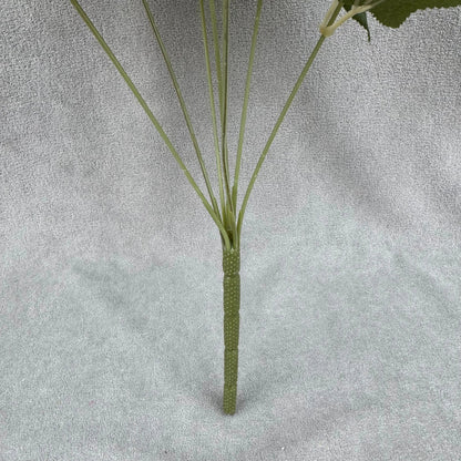 Ivory Silk Dahlia Bush - 7 Heads RosesHQ.com