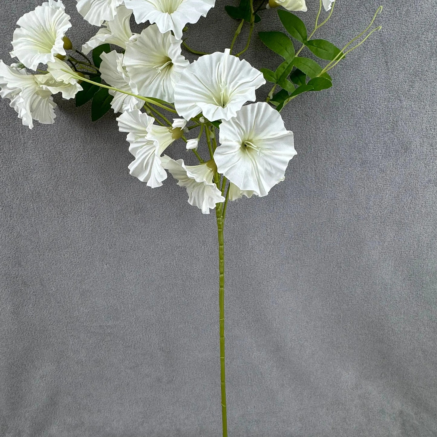 Ivory Silk Morning Glory Spray RosesHQ.com