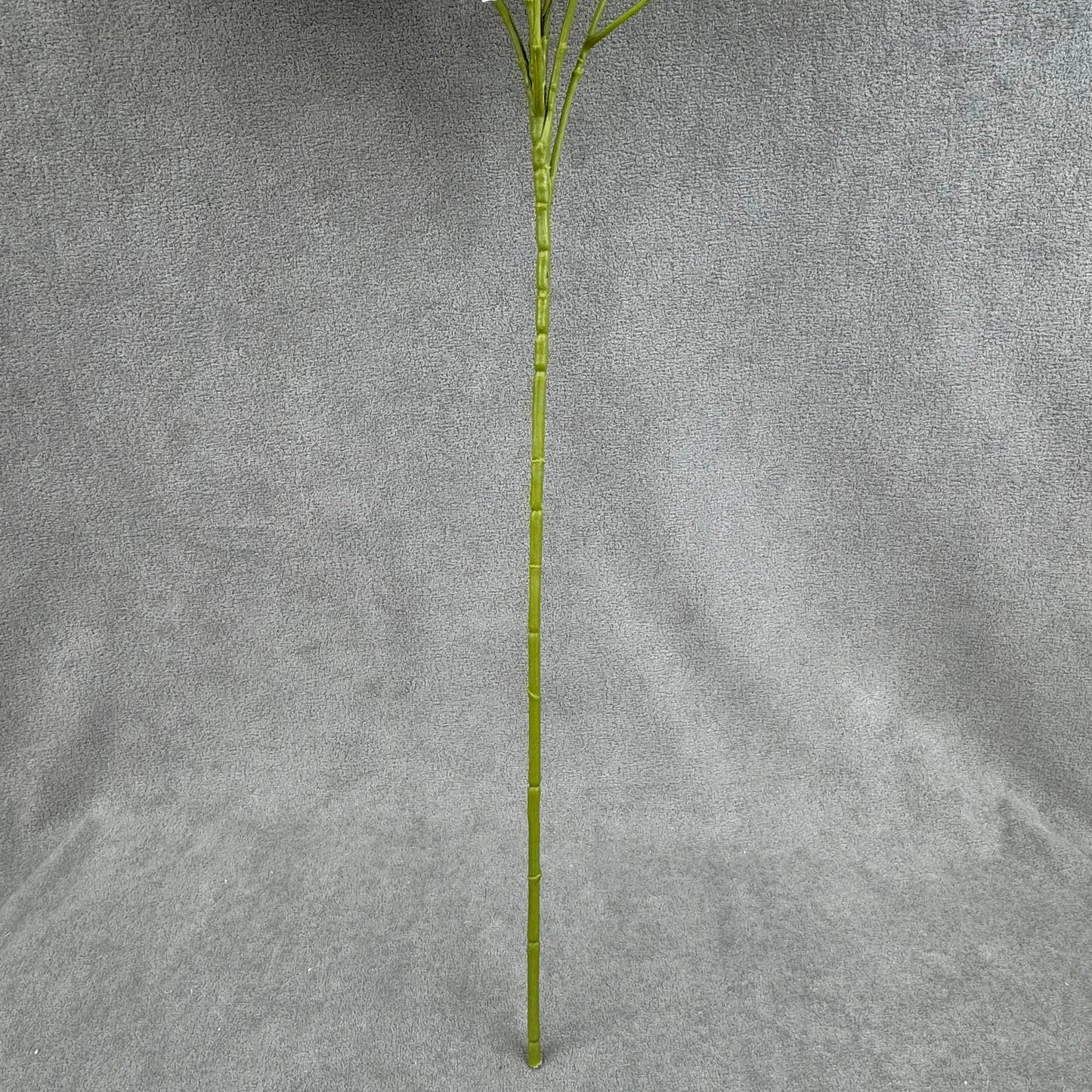Ivory Silk Morning Glory Spray RosesHQ.com