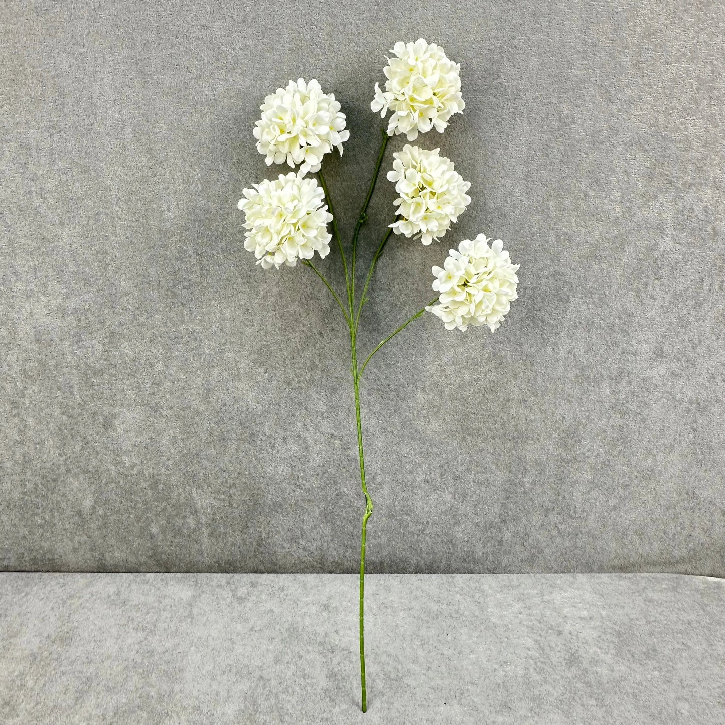 Ivory Silk Candy Hydrangea Bush - 5 Heads RosesHQ.com