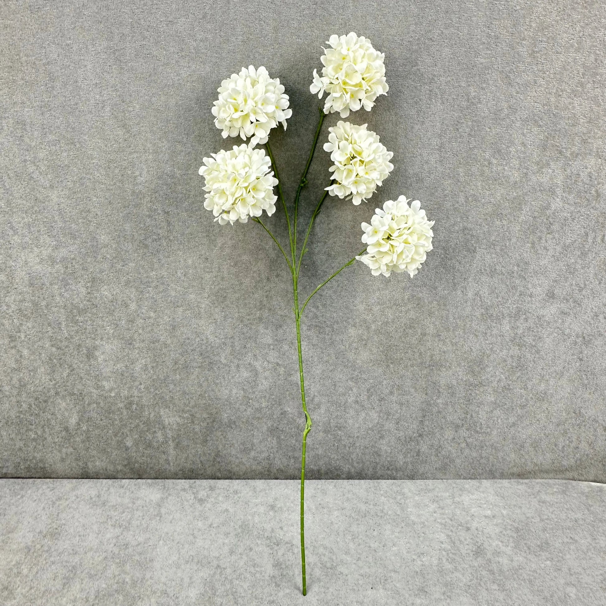 Ivory Silk Candy Hydrangea Bush - 5 Heads RosesHQ.com