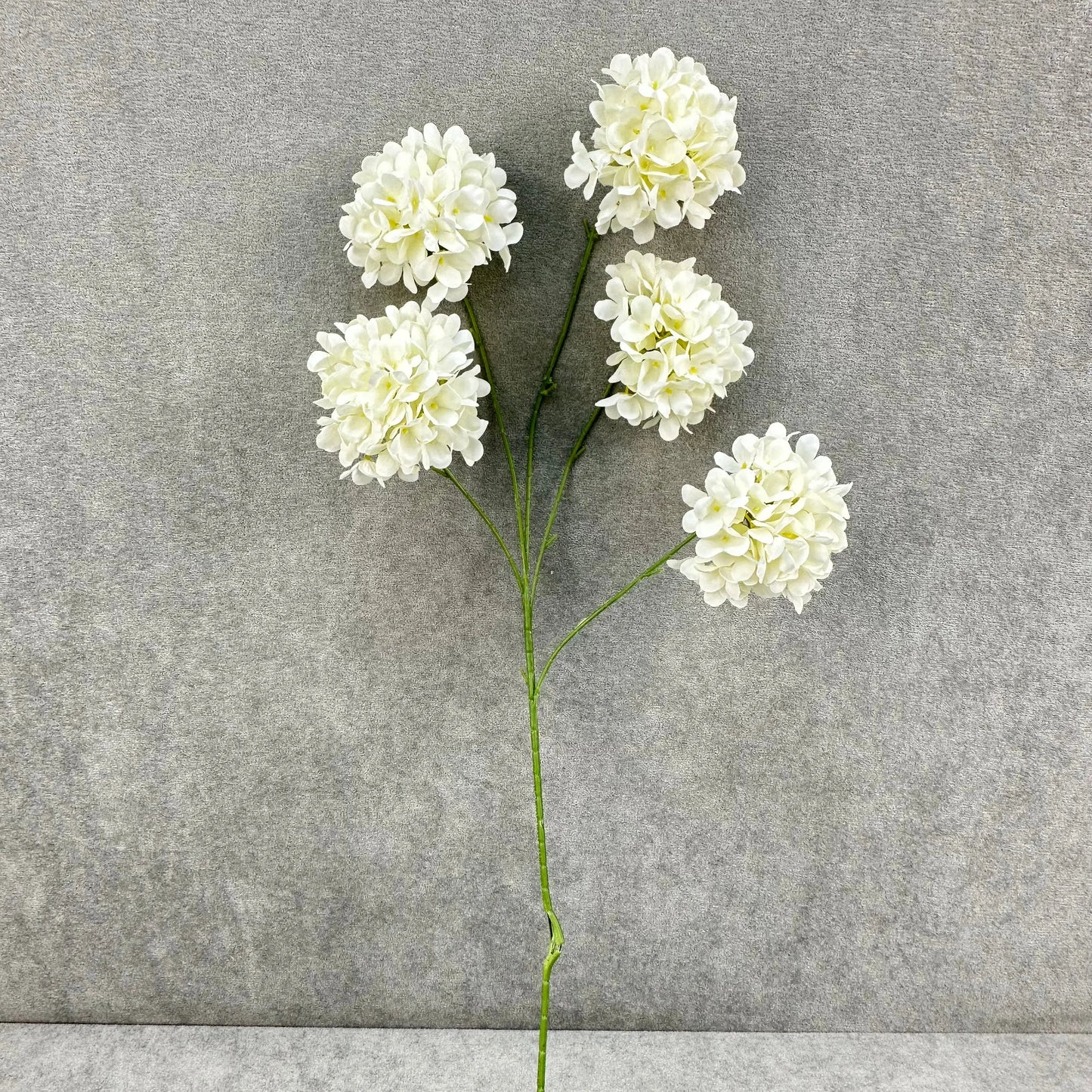 Ivory Silk Candy Hydrangea Bush - 5 Heads RosesHQ.com