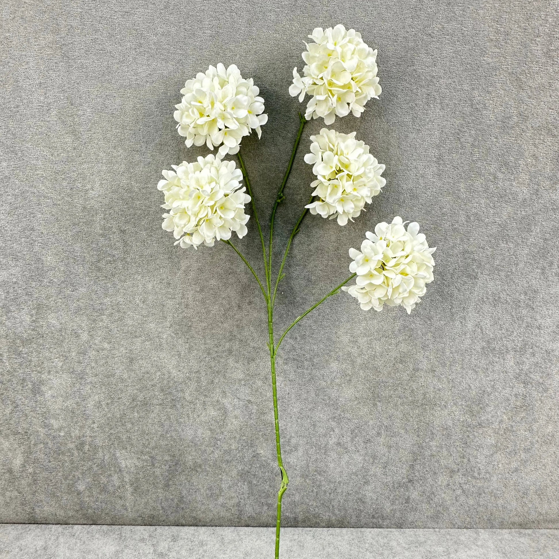 Ivory Silk Candy Hydrangea Bush - 5 Heads RosesHQ.com