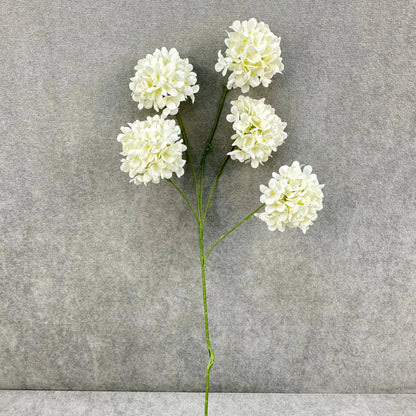 Ivory Silk Candy Hydrangea Bush - 5 Heads RosesHQ.com