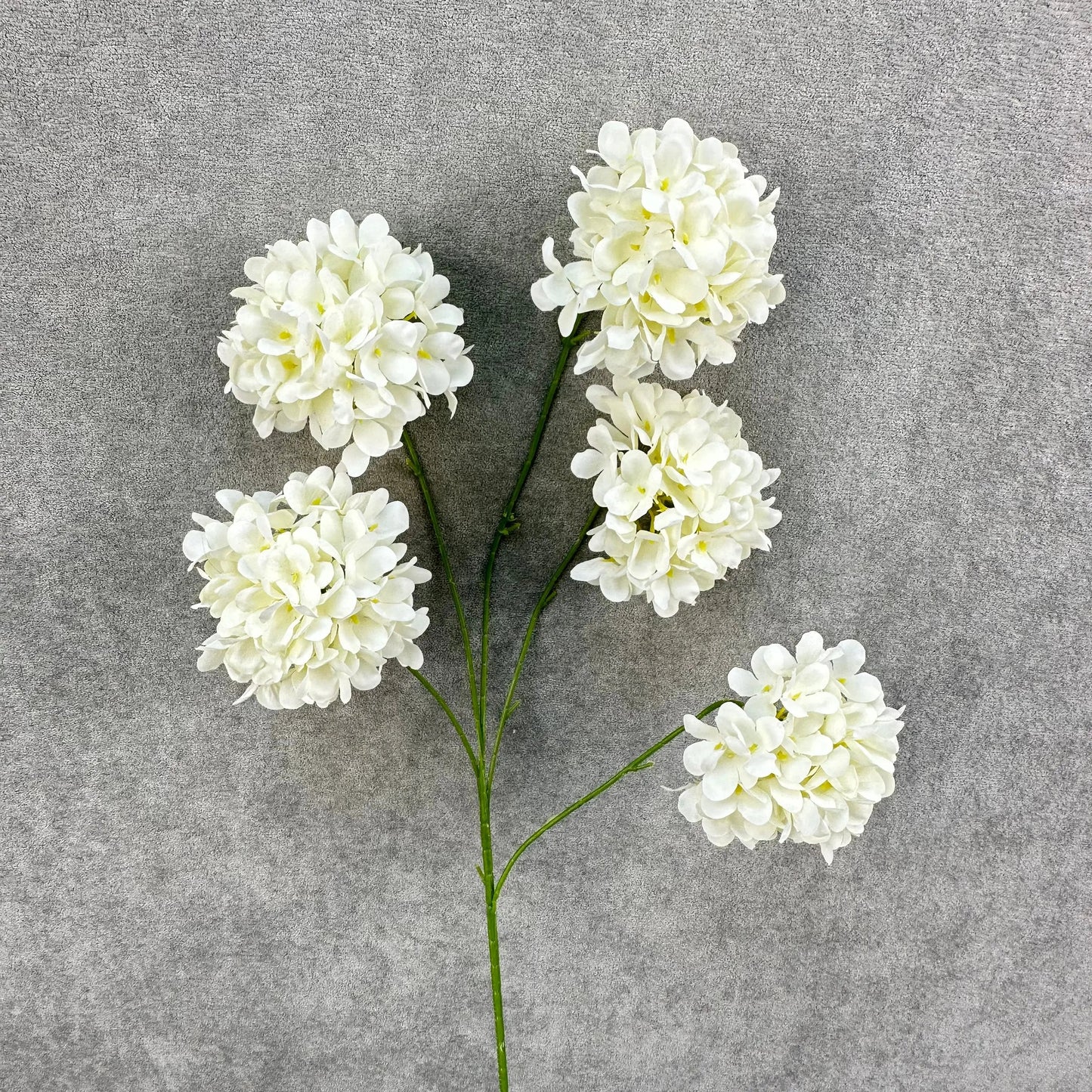 Ivory Silk Candy Hydrangea Bush - 5 Heads RosesHQ.com