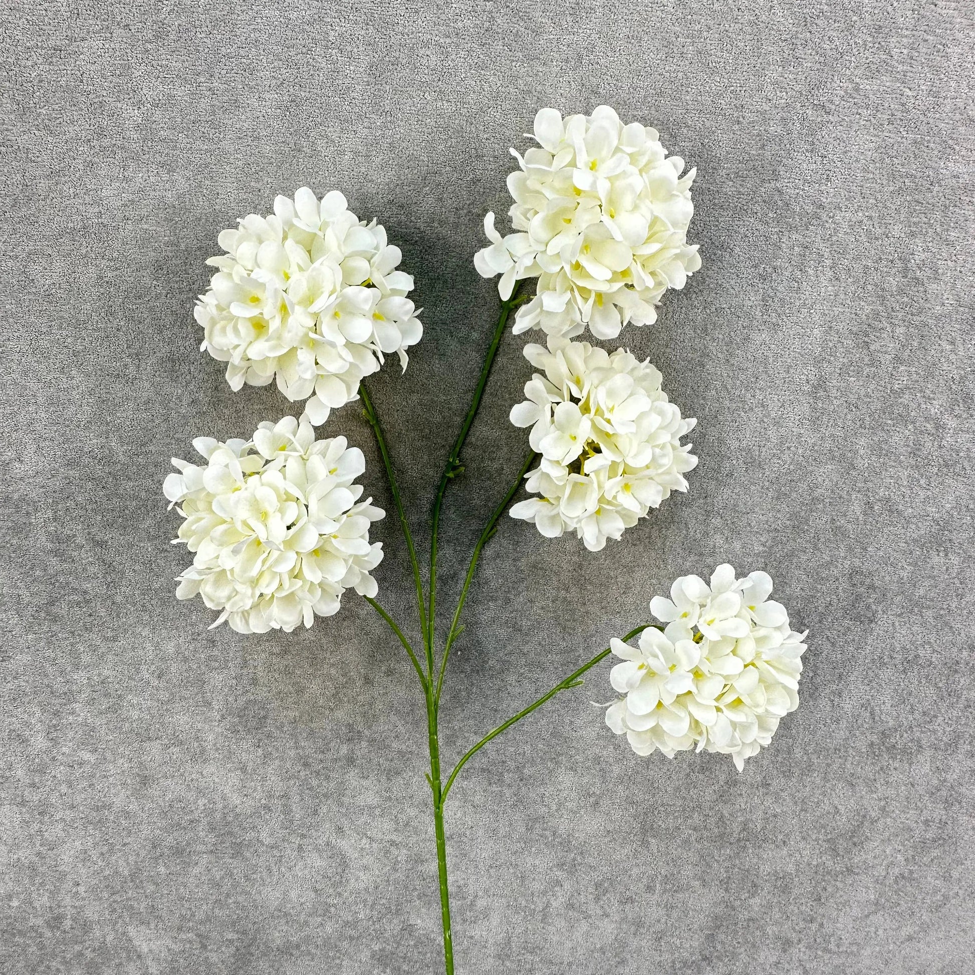 Ivory Silk Candy Hydrangea Bush - 5 Heads RosesHQ.com