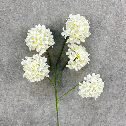 Ivory Silk Candy Hydrangea Bush - 5 Heads RosesHQ.com