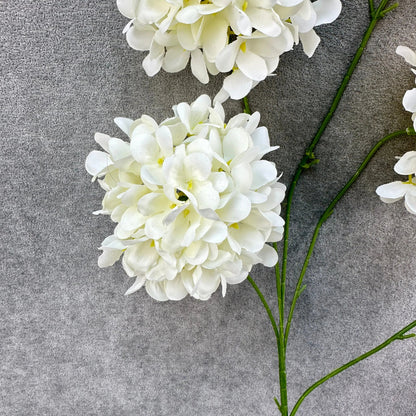 Ivory Silk Candy Hydrangea Bush - 5 Heads RosesHQ.com