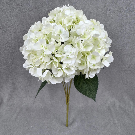 Ivory Silk French Hydrangea Bush - 5 Heads RosesHQ.com