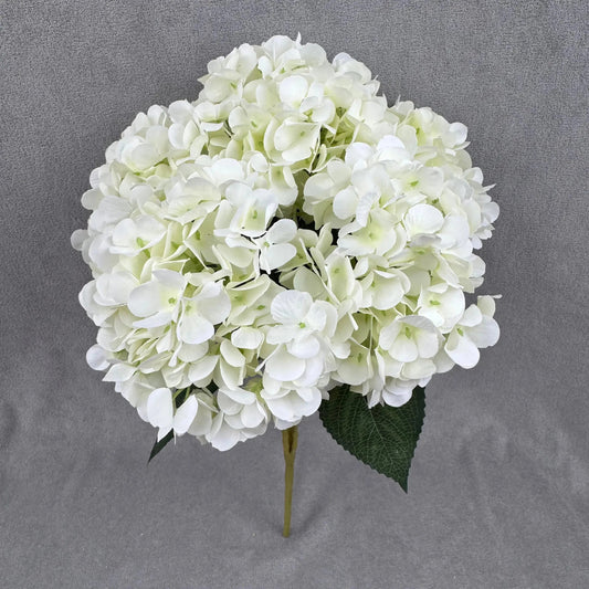 Ivory Silk French Hydrangea Bush - 5 Heads RosesHQ.com