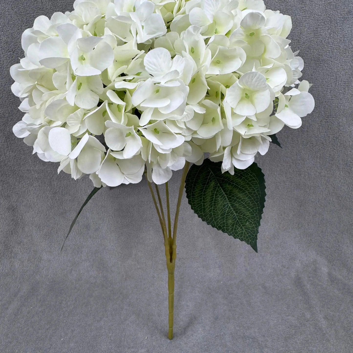 Ivory Silk French Hydrangea Bush - 5 Heads RosesHQ.com