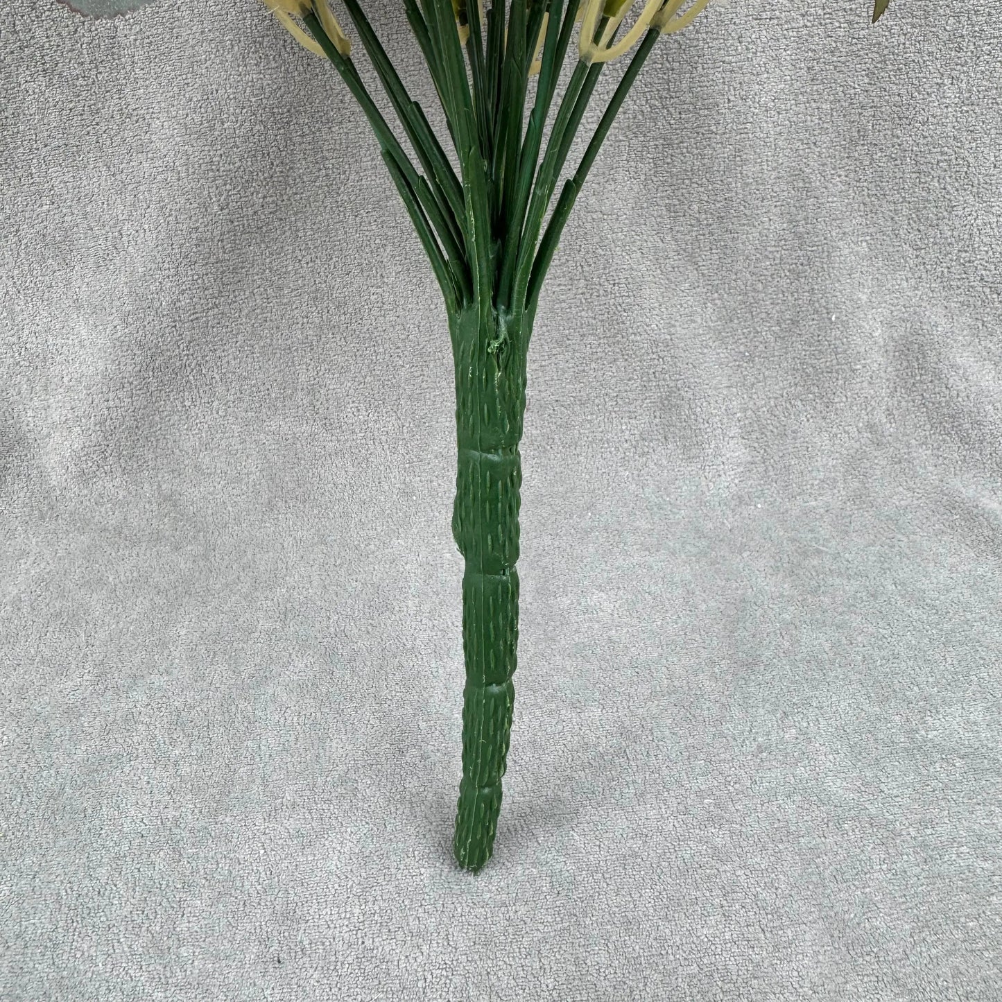 Ivory Silk Happiness Rose Bush - 24 Heads RosesHQ.com