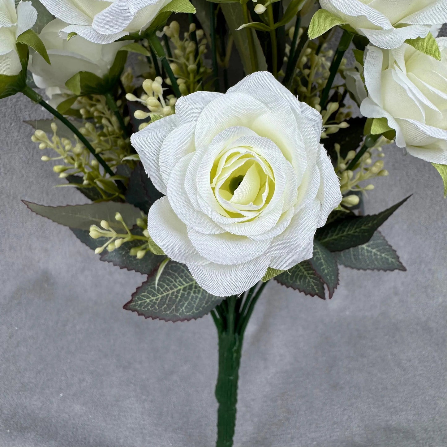 Ivory Silk Happiness Rose Bush - 24 Heads RosesHQ.com