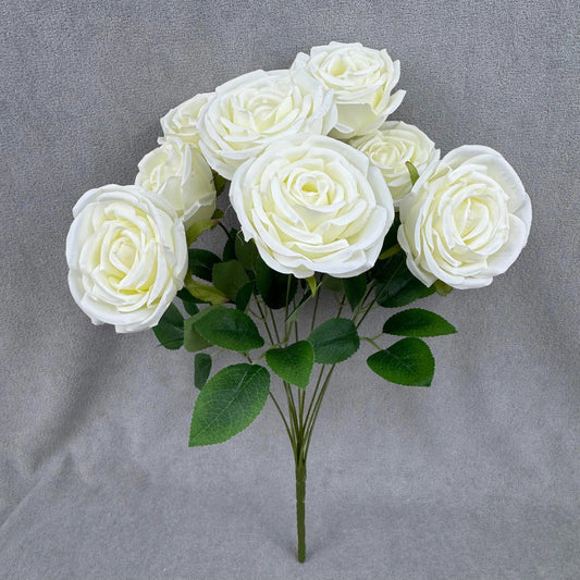Ivory Silk Dream Empress Rose Bush - 9 Heads RosesHQ.com