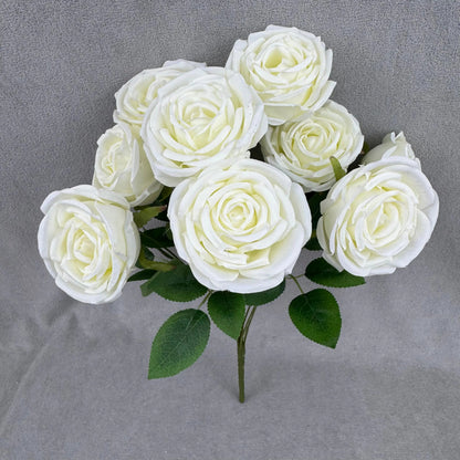 Ivory Silk Dream Empress Rose Bush - 9 Heads RosesHQ.com