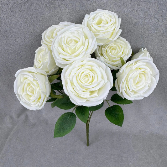 Ivory Silk Dream Empress Rose Bush - 9 Heads RosesHQ.com