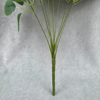 Ivory Silk Dream Empress Rose Bush - 9 Heads RosesHQ.com