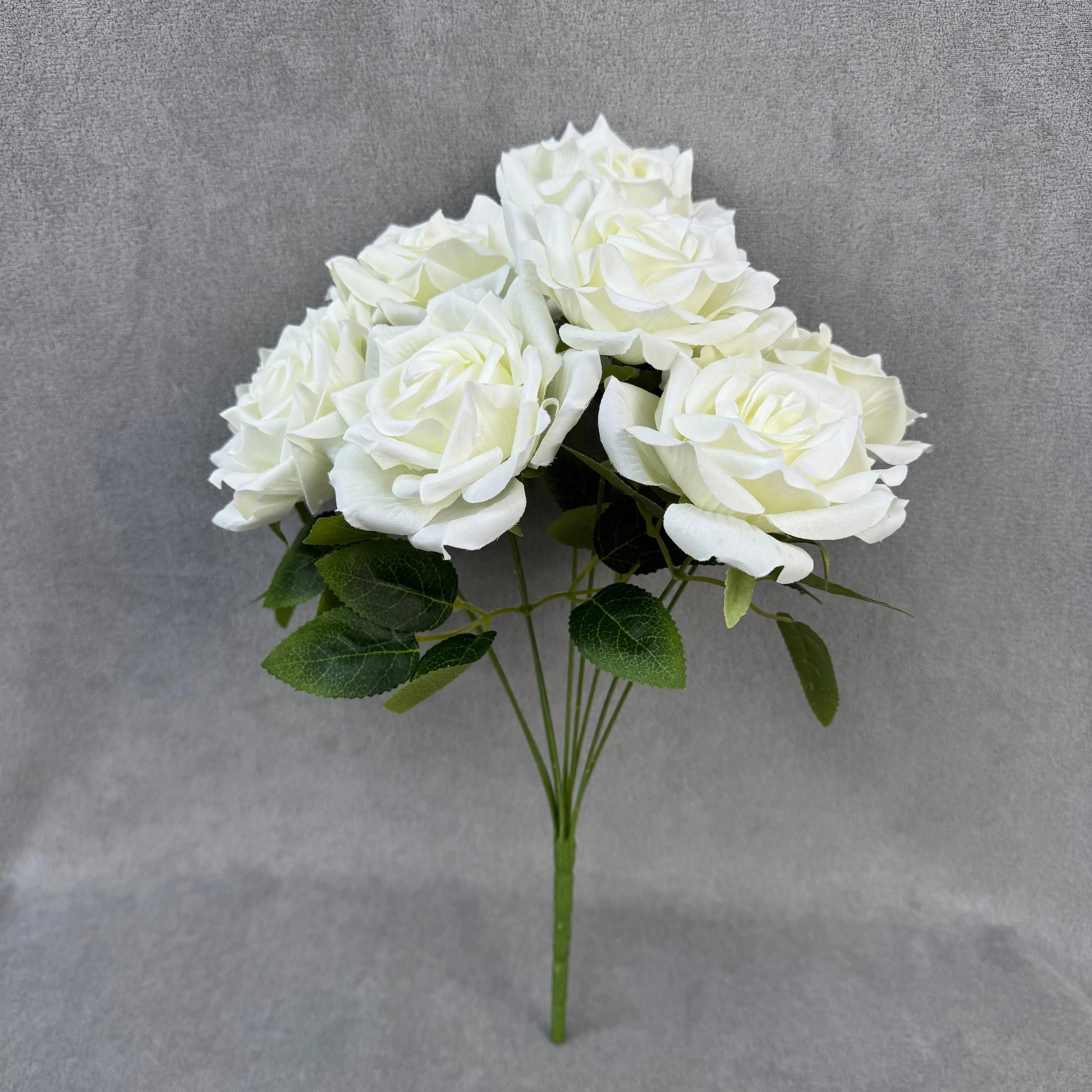 Ivory Silk Fruit Rose Bush - 9 Heads RosesHQ.com