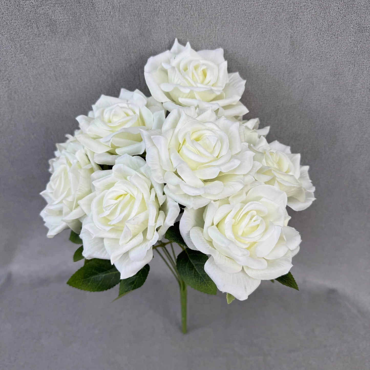 Ivory Silk Fruit Rose Bush - 9 Heads RosesHQ.com