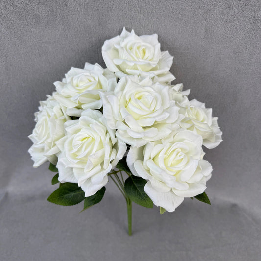 Ivory Silk Fruit Rose Bush - 9 Heads RosesHQ.com