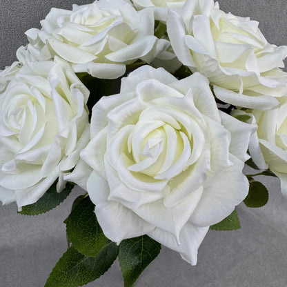 Ivory Silk Fruit Rose Bush - 9 Heads RosesHQ.com