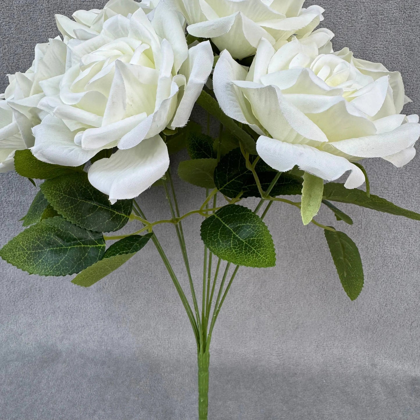 Ivory Silk Fruit Rose Bush - 9 Heads RosesHQ.com