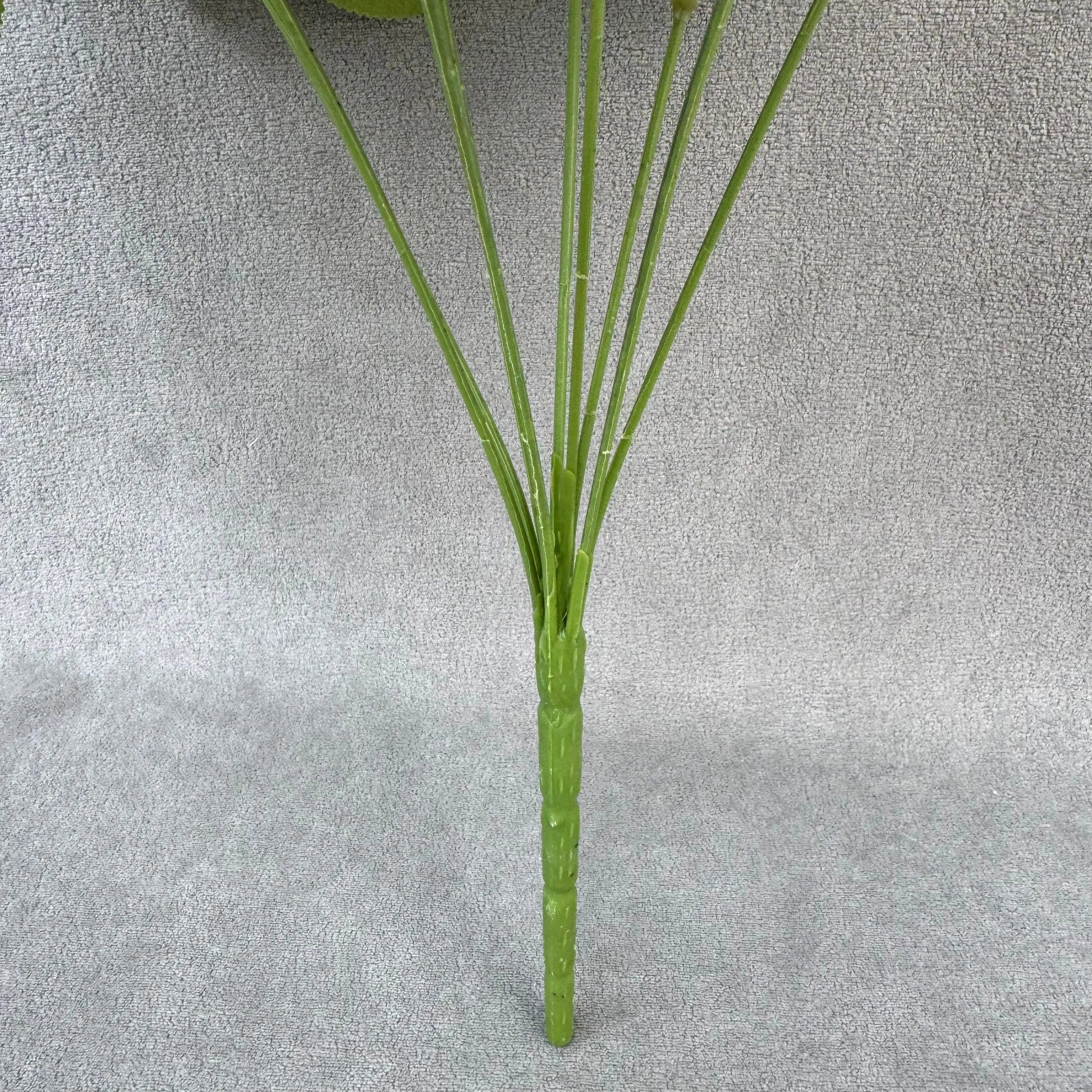 Ivory Silk Fruit Rose Bush - 9 Heads RosesHQ.com