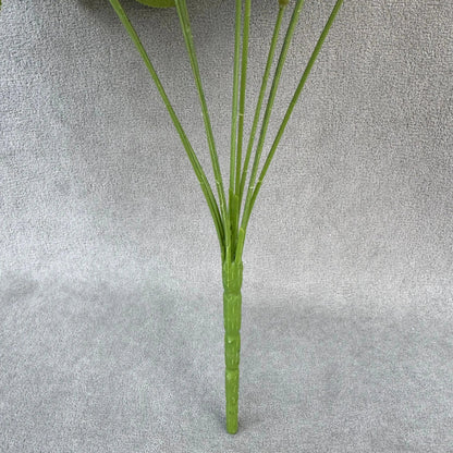 Ivory Silk Fruit Rose Bush - 9 Heads RosesHQ.com