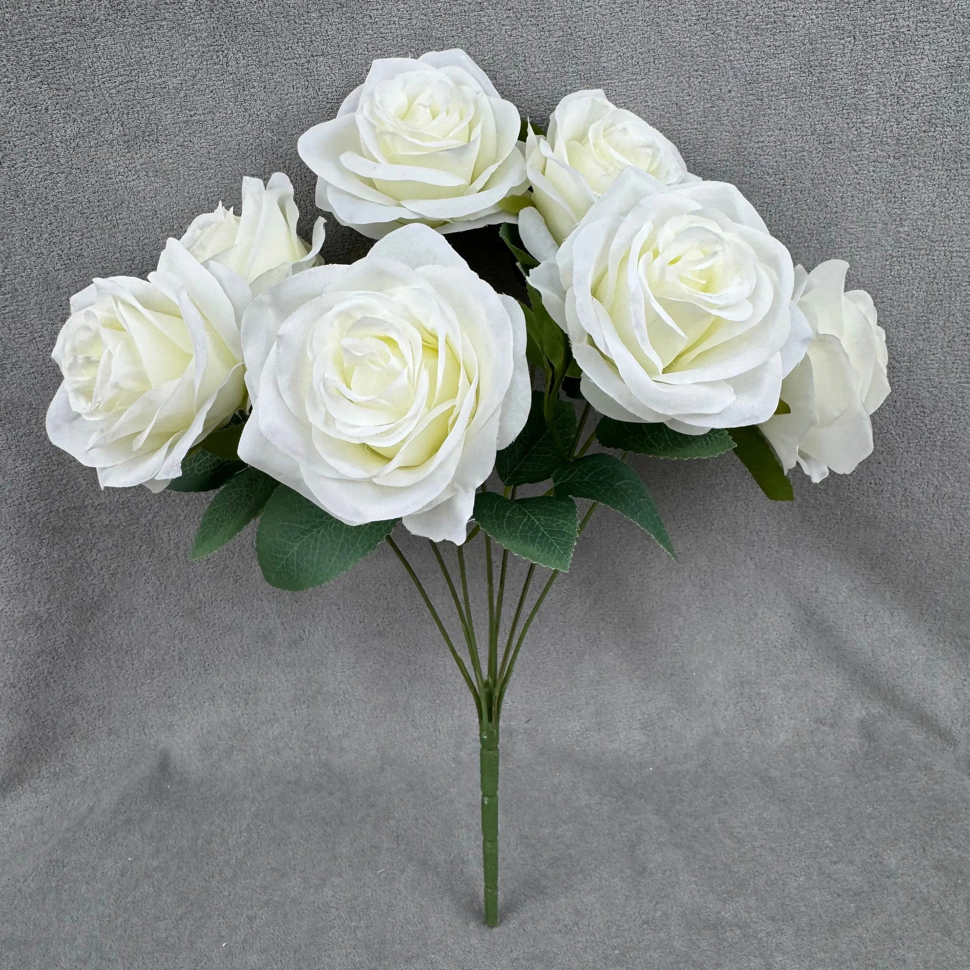 Ivory Silk Happiness Rose Bush - 7 Heads RosesHQ.com